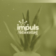 impuls_Aktionstag_Folie